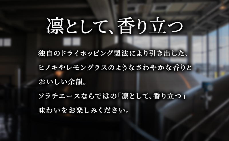 【隔月2回定期便】北海道 上富良野町発祥 伝説のホップ SORACHI 1984 350ml×24缶 ソラチエース使用 サッポロ ビール クラフトビール 酒 アルコール 日用品 お酒