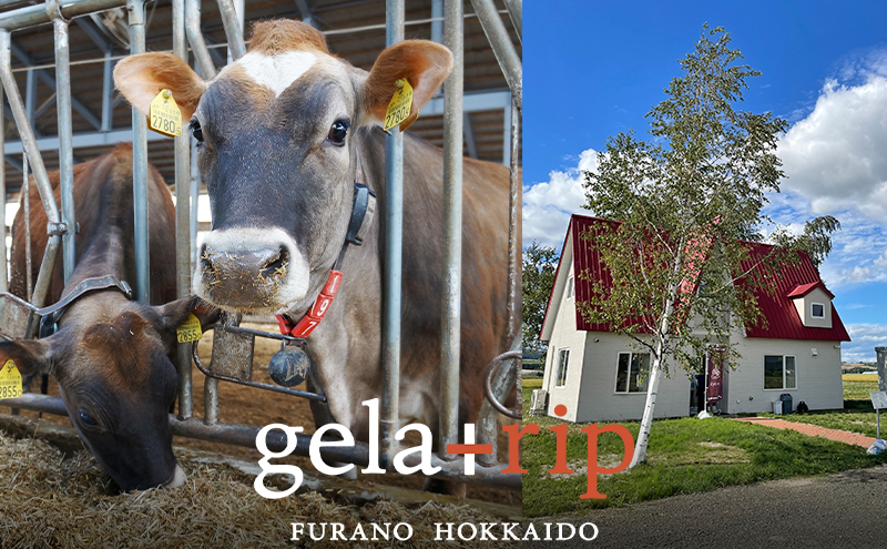 å®æäŸ¿ 6ãµæ æ¥åçš ãžã§ã©ãŒã 2L ãã¬ãŒã㌠6çš® åæ å€§å®¹é ã¢ã€ã¹ ãã¶ãŒã ã¹ã€ãŒã ãã«ã¯ çä¹³ åæµ·é äžå¯è¯éçº