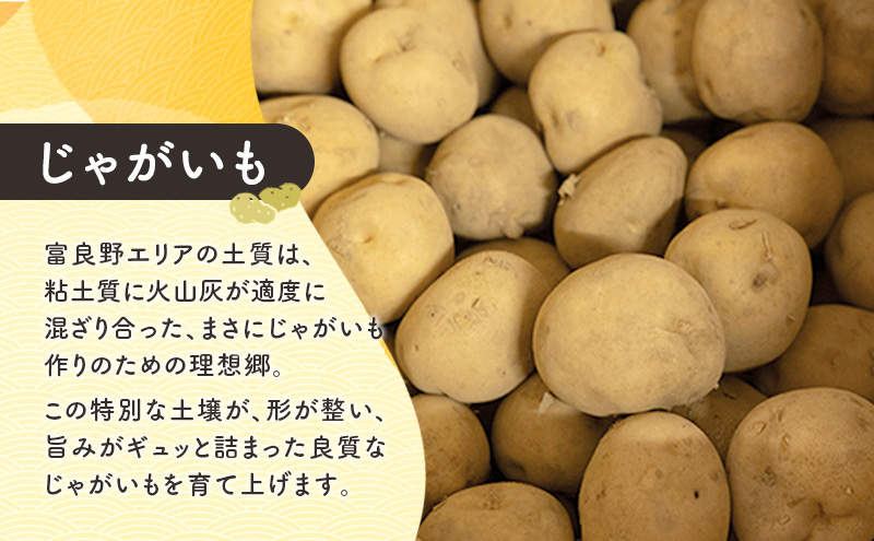 [TVで紹介されました！]上富良野産 野菜セット（ じゃがいも 玉ねぎ かぼちゃ ）約10kg [ 一色商店 いも 玉葱 南瓜 野菜 北海道 上富良野町 ]