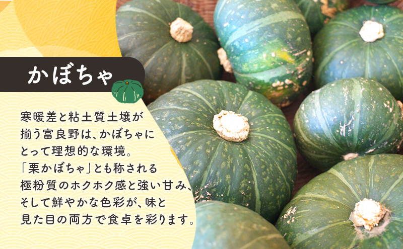 [TVで紹介されました！]上富良野産 野菜セット（ じゃがいも 玉ねぎ かぼちゃ ）約10kg [ 一色商店 いも 玉葱 南瓜 野菜 北海道 上富良野町 ]