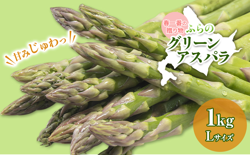 【令和8年産】アスパラガス グリーンアスパラ 1kg Lサイズ アスパラ 野菜 北海道 上富良野町 ふらの農業協同組合