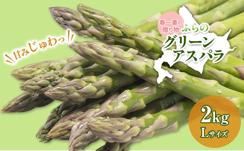 【令和8年産】アスパラガス グリーンアスパラ 2kg Lサイズ アスパラ 野菜 北海道 上富良野町 ふらの農業協同組合