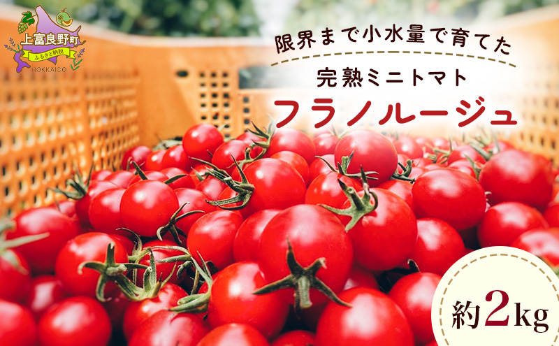 訳あり 北海道 完熟 新鮮 ミニトマト フラノルージュ 2kg 上富良野 自宅用 野菜 産地直送
