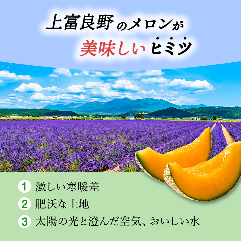 【 2025年 発送 】 先行予約 メロン かみふらの 赤肉 メロン 約 1.6kg 2玉 セット めろん 果物 フルーツ デザート くだもの 旬の果物 旬のフルーツ 北海道 上富良野 産地直送