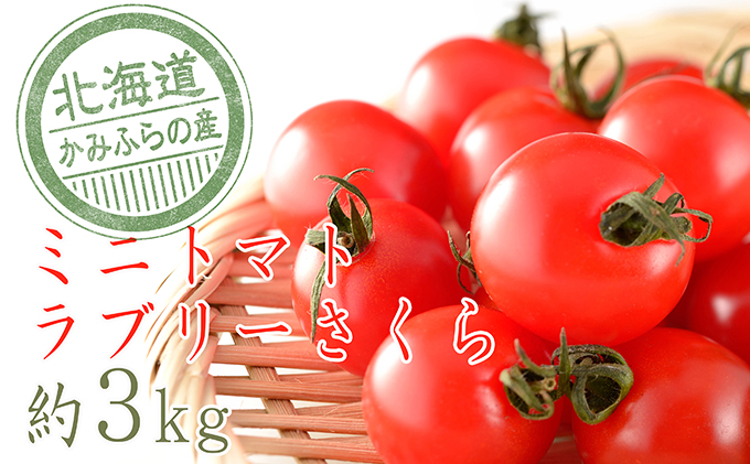 もぎたてミニトマト【ラブリーさくら】3kg≪北海道上富良野産≫
