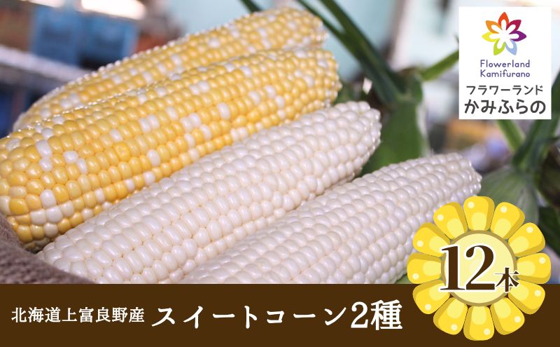 【令和8年産】北海道 上富良野 町産 スイートコーン 2種 セット 食べ比べ バイカラー 6本 白色 6本 計12本 野菜 とうもろこし トウモロコシ コーン 産地直送 野菜