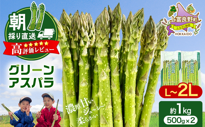 【令和8年産】アスパラガス 専門農家 の 特選 グリーン アスパラ 1kg  L～2L 原農園 アスパラ あすぱら 野菜 北海道 上富良野町