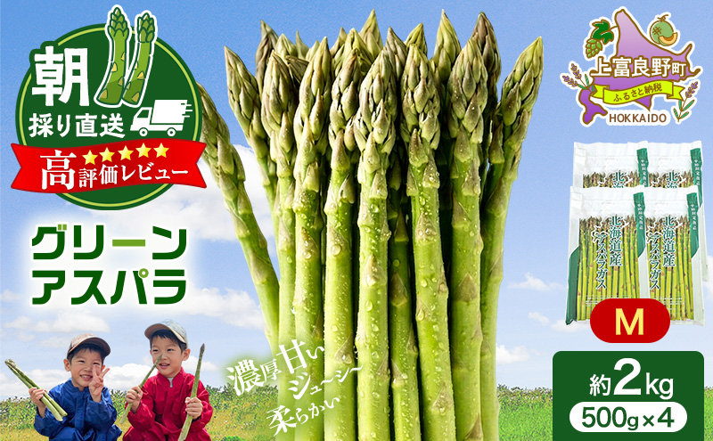 【令和8年産】アスパラ 専門農家 の 特選 グリーン アスパラ 2kg M アスパラガス 原農園 あすぱら 野菜 北海道 上富良野町 グリーンアスパラ