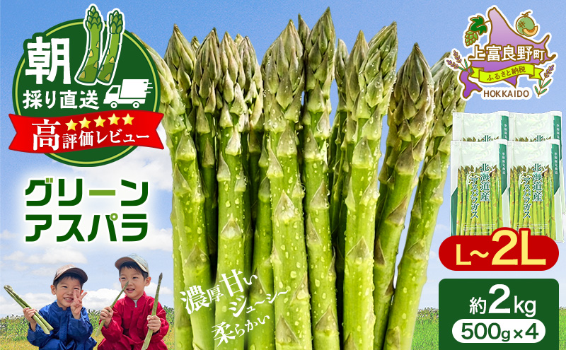 【令和8年産】アスパラ 専門農家 の 特選 グリーン アスパラ 2kg L～2L アスパラガス 原農園 あすぱら 野菜 北海道 上富良野町 グリーンアスパラ