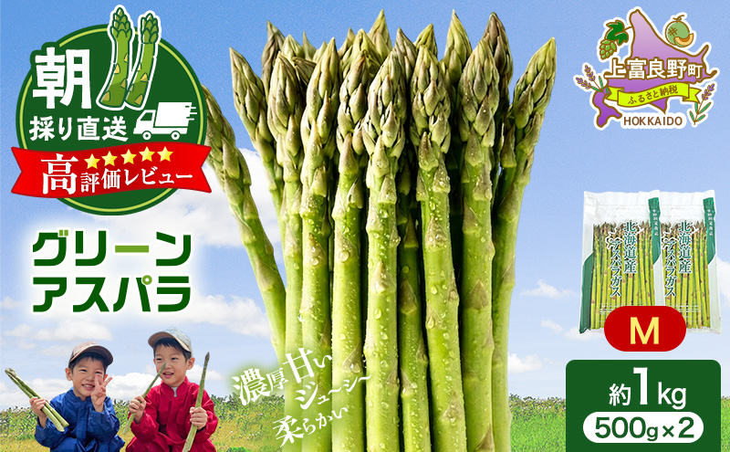 【令和8年産】アスパラ 専門農家 の 特選 グリーン アスパラ 1kg M アスパラガス 原農園 あすぱら 野菜 北海道 上富良野町 グリーンアスパラ