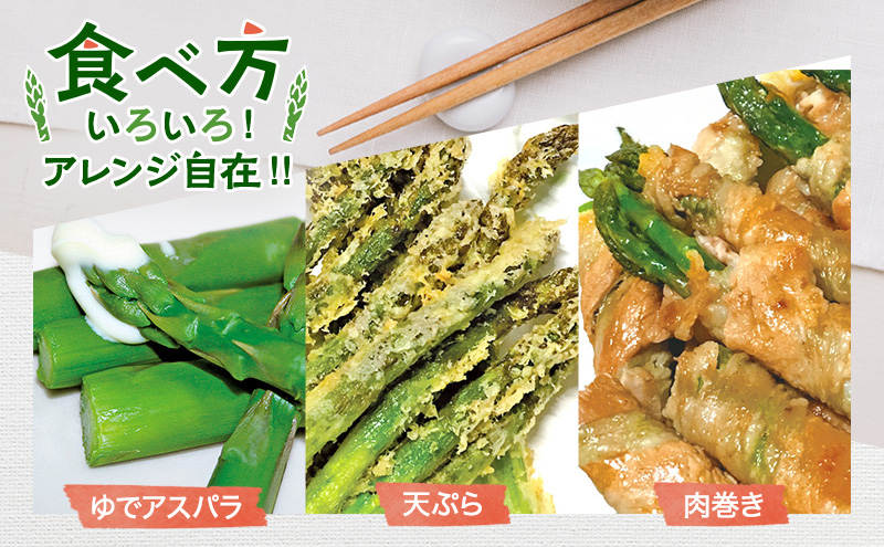 【令和8年産】アスパラガス 専門農家 の 特選 グリーン アスパラ 1kg  L～2L 原農園 アスパラ あすぱら 野菜 北海道 上富良野町