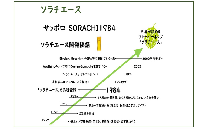 ビール SORACHI1984 350ml × 24缶 上富良野町発祥！ 伝説のホップ ソラチエース ソラチ sorachi ソラチ1984 サッポロビール サッポロ 地ビール お酒 酒 アルコール 吉澤商店 北海道 上富良野町