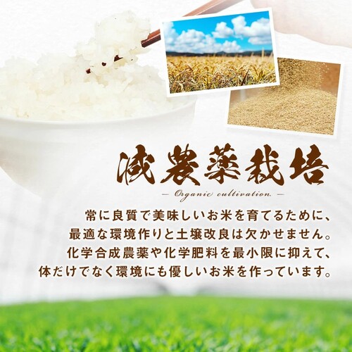 ã什å7幎床ç£ããªãªã€ãŒã 粟米 4.5kg