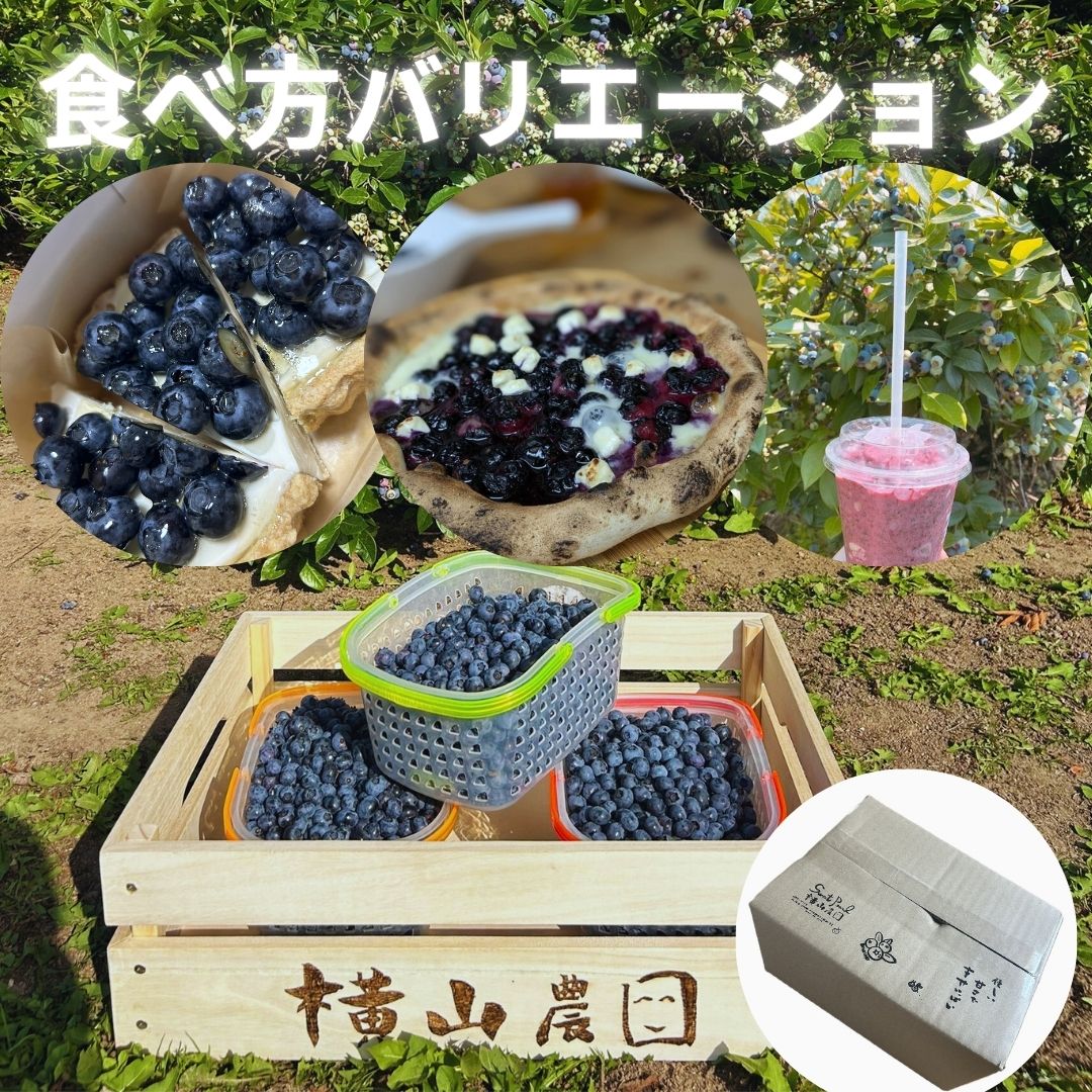 横山農園の冷凍ブルーベリー1kg