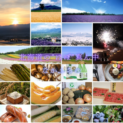 なかふらのインク～涼青の夏～（２瓶）