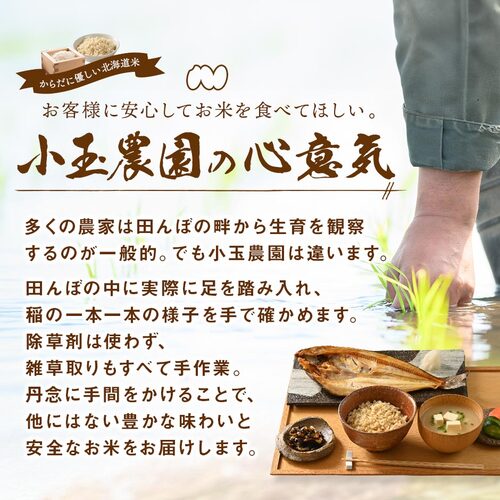 ã什å7幎床ç£ããªãªã€ãŒã 粟米 4.5kg