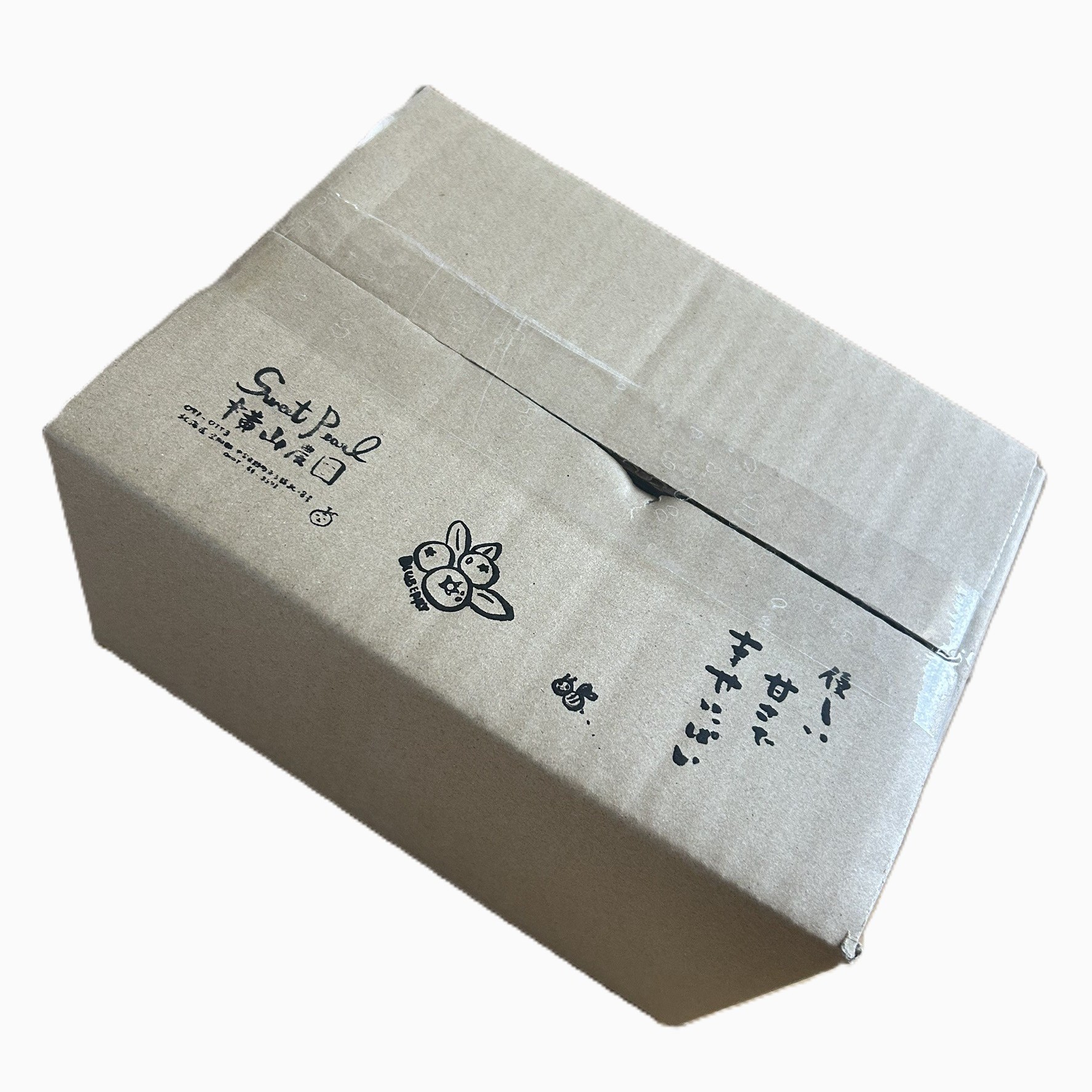 横山農園の冷凍ブルーベリー400g×3袋