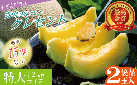 【2026年発送】【中富良野町】寺坂メロン　2玉入り（青肉特大）
