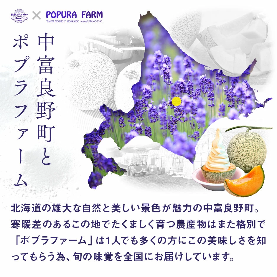 【2026年発送】【ポプラファーム】富良野メロン　大玉2玉（計4kg以上　秀品）