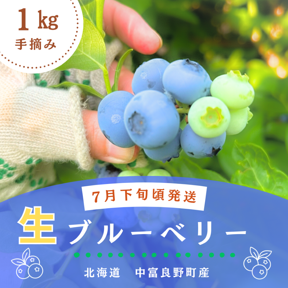横山農園の冷凍ブルーベリー1kg