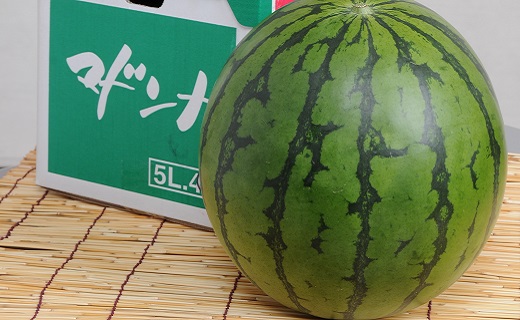 【2026年発送】スイカ（マドンナ）秀4L〜3L　1玉