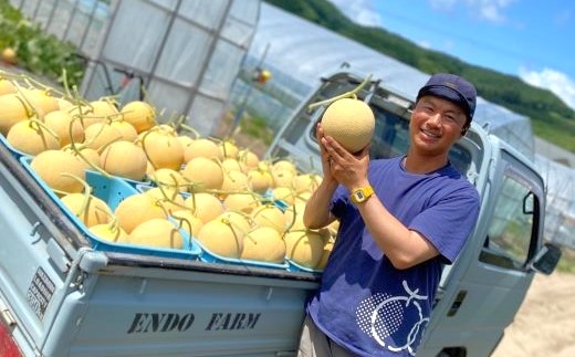 【2026年発送】遠藤ファームの中富良野メロン青肉大玉 1玉（1.6kg以上）