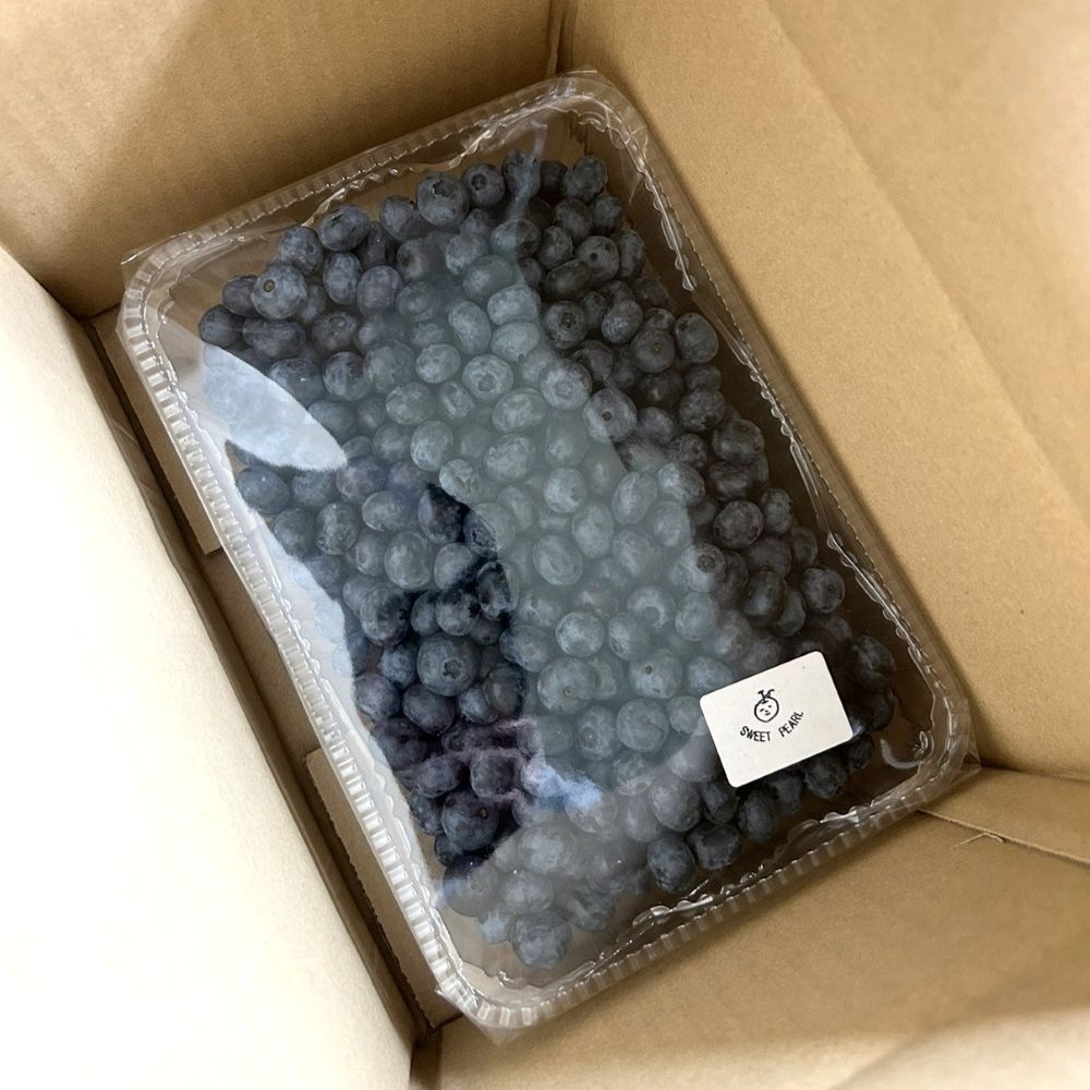 横山農園の冷凍ブルーベリー1kg