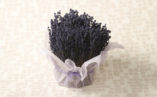 【2025年7月収穫】ドライフラワー濃紫