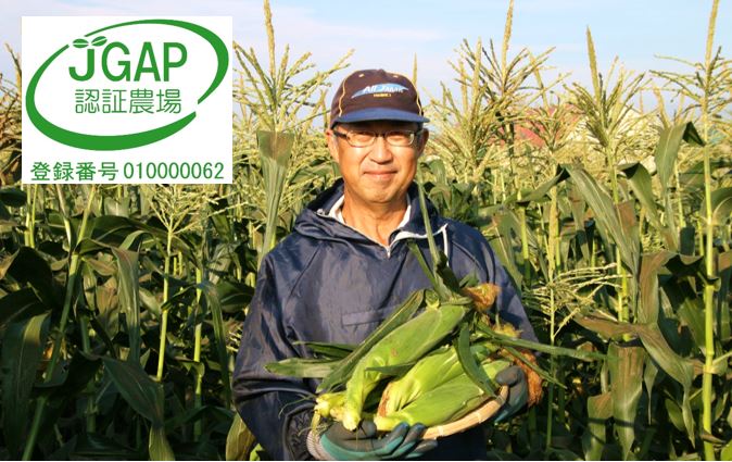 【2026年発送】しあわせの黄色いコーンイエロー12本入