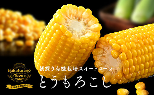 【2026年発送】朝採り有機栽培スイートコーン12本入