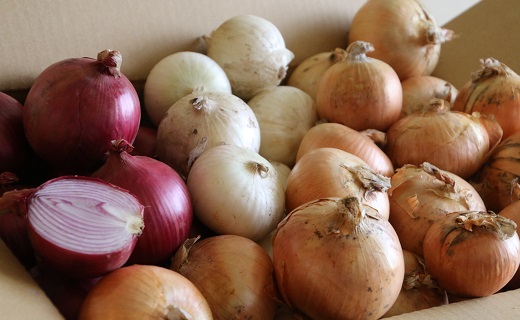 【セット】玉ねぎセット（玉ねぎ5kg、紫玉ねぎ2kg、白玉ねぎ2kg）