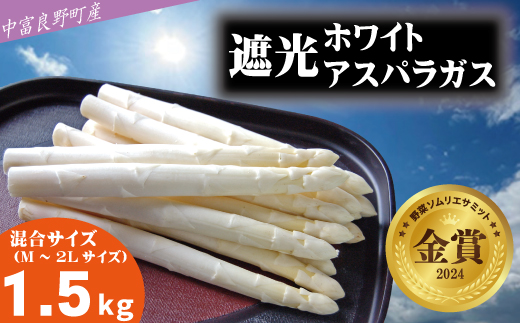 【2026年発送】【中富良野町寺坂農園】遮光ホワイトアスパラガス（1.5kg）