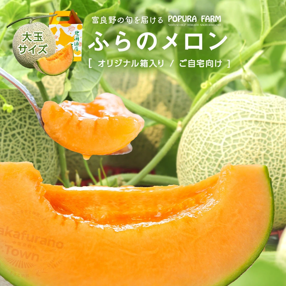 【2026年発送】【ポプラファーム】富良野メロン（2kg以上　秀品　大玉1玉）