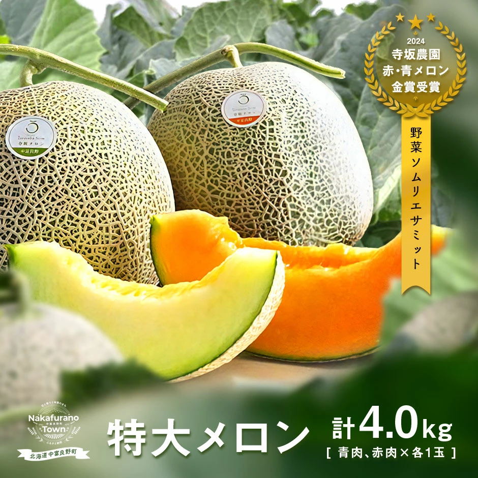 【2026年発送】【中富良野町】寺坂メロン赤青セット2玉入（特大）