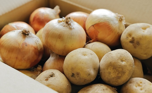 有機野菜セット2種