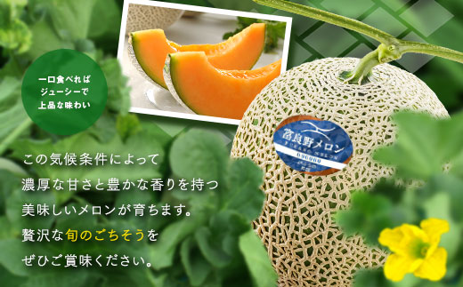 【2026年発送】【秀品】富良野メロン2玉（約2kg×2玉）