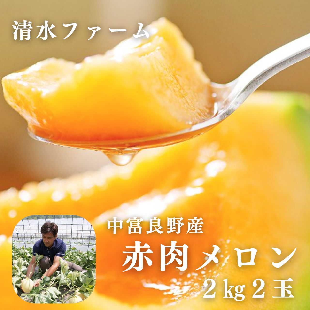 【2026年発送】中富良野産赤肉メロン2玉　計4kg