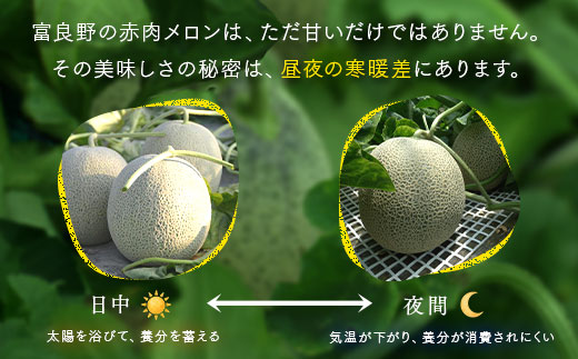【2026年発送】【秀品】富良野メロン2玉（約2kg×2玉）