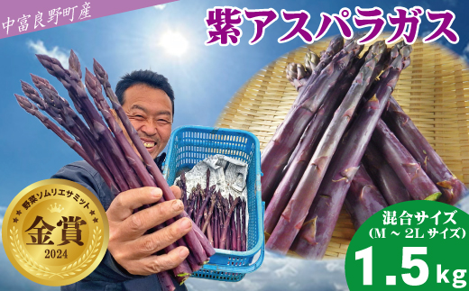 【2026年発送】【中富良野町寺坂農園】紫アスパラガス（1.5kg）