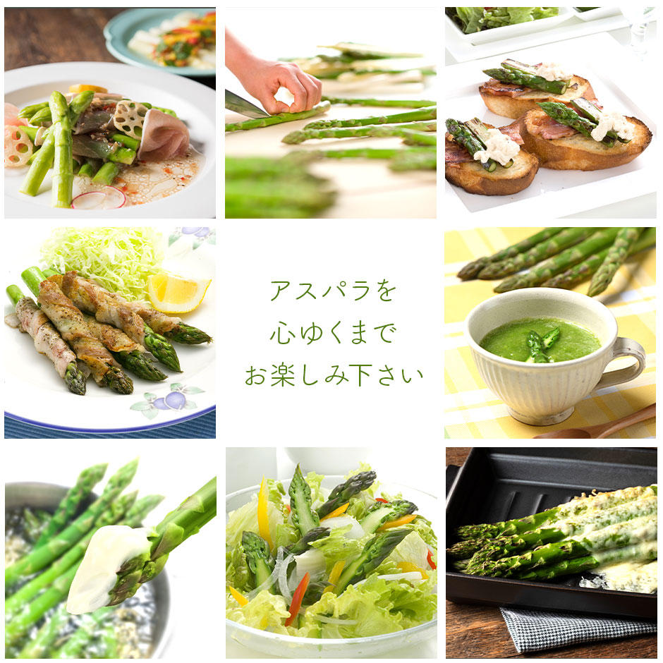 ææ©æ œå¹ã¢ã¹ãã©1ãïŒãµã€ãºæ··åïŒ