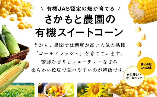 【2026年発送】朝採り有機栽培スイートコーン22本入