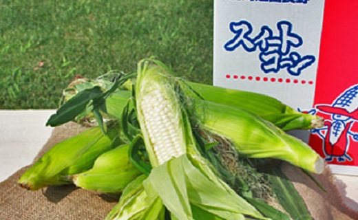 スィートコーンホワイト　12本（2Lサイズ）