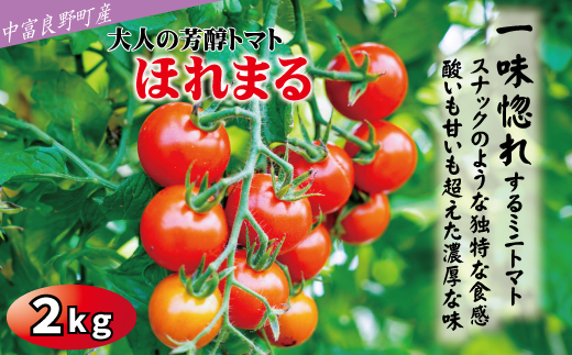 【2026年発送】【中富良野町】寺坂農園ミニトマト　ほれまる　2kg