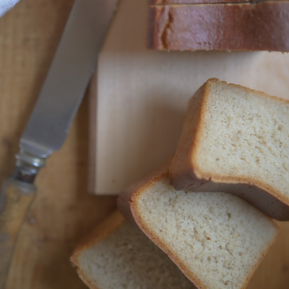 ãã°ã«ãã³ããªãŒïŒããŒã¬ã³ããã°ç²ã®ããã³ ïŒæ¬ïŒããªããã³ãŒããŒã»ãã