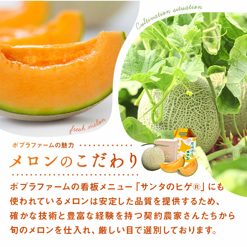 【2026年発送】【ポプラファーム】富良野メロン　大玉2玉（計4kg以上　秀品）