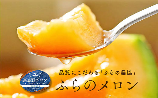 【2026年発送】【秀品】富良野メロン2玉（約2kg×2玉）