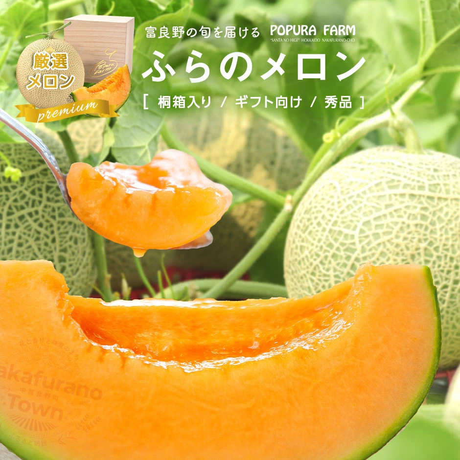 【2026年発送】【ポプラファーム】【桐箱】極上の富良野メロン　中玉1玉（計1.6kg以上　秀品）