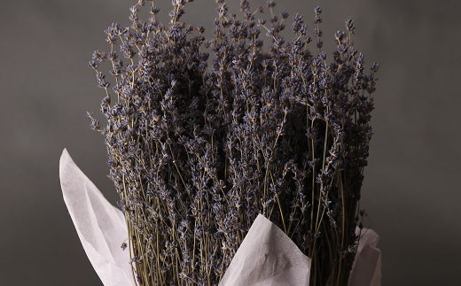 【2025年7月収穫】ドライフラワー　おかむらさき