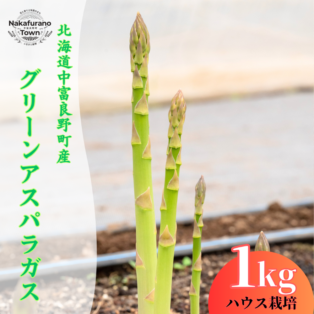 【2027年発送】ハウス栽培グリーンアスパラガス1㎏