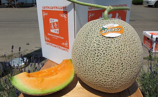 【2026年発送】中富良野赤肉メロン2玉（計2.6kg〜)